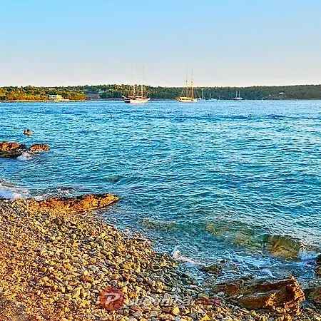 - Ana * Milna (Brac)